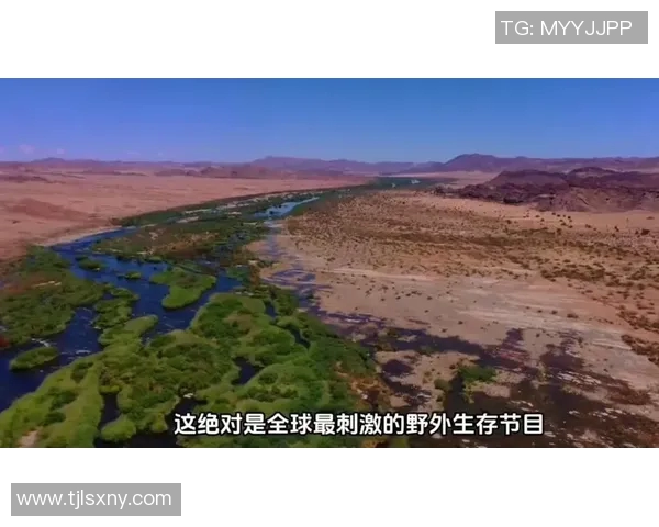 挑战极限在荒野生存21天的真实体验与心灵成长之旅 挑战极限在荒野生存21天的真实体验与心灵成长之旅